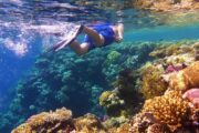 Private boat and snorkeling experience with lunch in Hurghada - Image 3