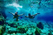 Private boat and snorkeling experience with lunch in Hurghada - Image 4